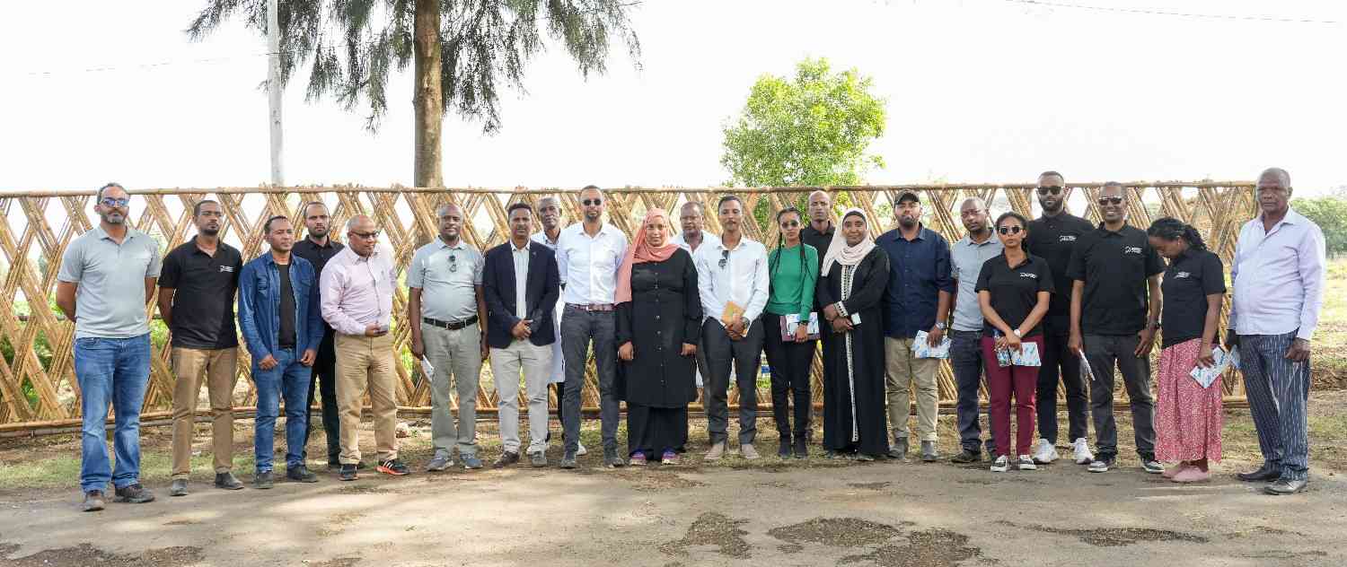 CEO Board Members