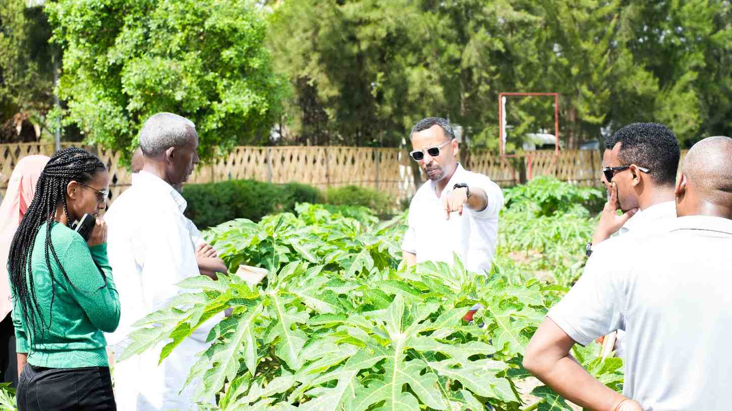 Agriculture